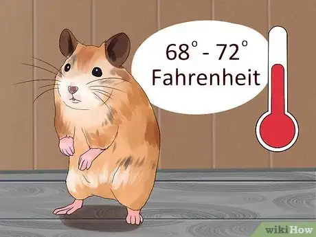 Image intitulée Treat Your Sick Hamster Step 11