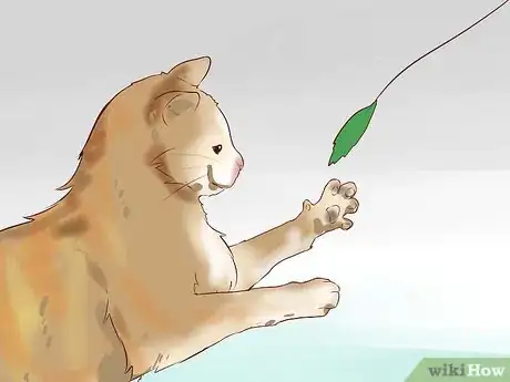 Image intitulée Discipline Your Cat or Kitten Step 5