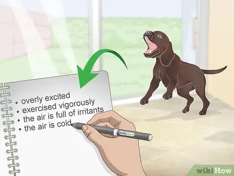 Image intitulée Stop Reverse Sneezing in Dogs Step 9