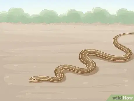 Image intitulée Get Rid of Snakes Step 6