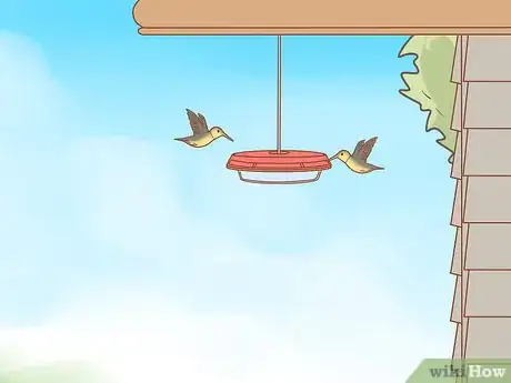 Image intitulée Hang a Hummingbird Feeder Step 1