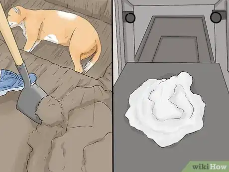 Image intitulée Determine if Your Dog Has Passed Away Step 6