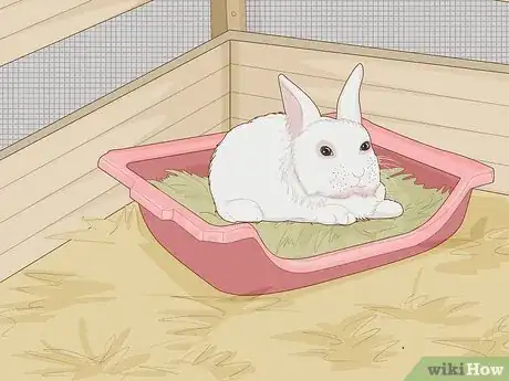 Image intitulée Care for a New Pet Rabbit Step 4