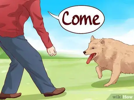 Image intitulée Teach Your Dog Basic Commands Step 17