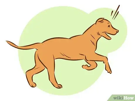 Image intitulée Train a Pitbull Puppy Step 4