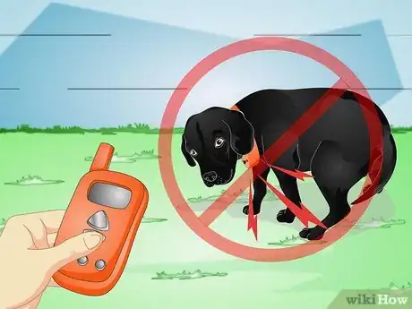 Image intitulée Use an Electronic Dog Training Collar Step 9