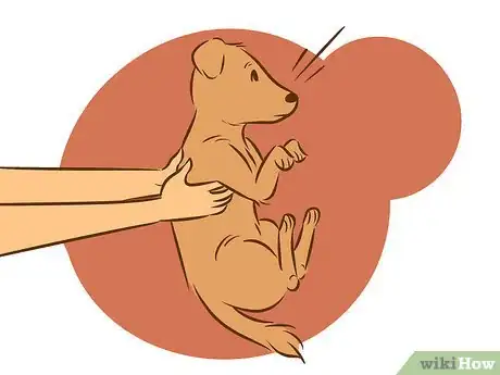 Image intitulée Stop a Dog from Humping Step 14