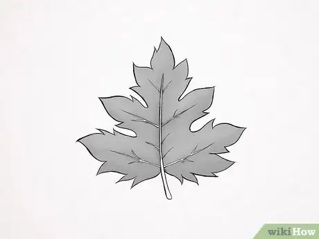 Image intitulée Draw a Maple Leaf Step 9
