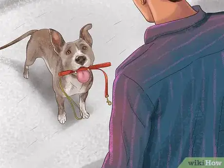 Image intitulée Teach a Dog to Tell You when He Wants to Go Outside Step 7