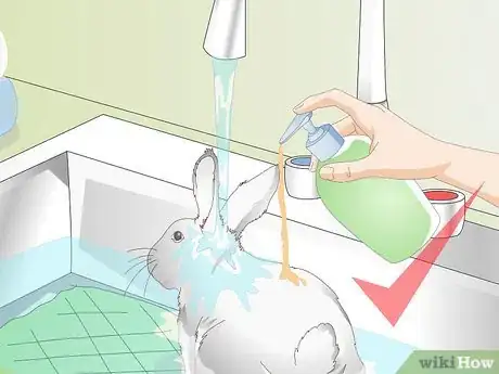 Image intitulée Keep a Rabbit Clean Step 11