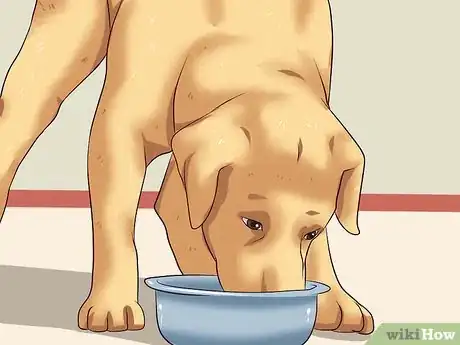 Image intitulée Teach Your Dog Not to Get Into Garbage Cans Step 3