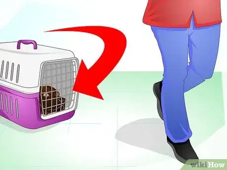 Image intitulée Stop Dog Marking Behaviors Step 12