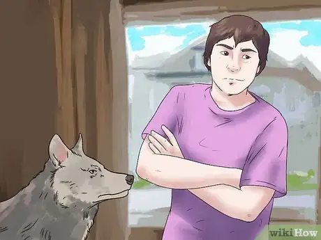 Image intitulée Own a Pet Wolf Step 10