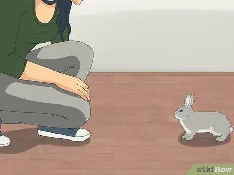 Image intitulée Pet a Rabbit Step 2