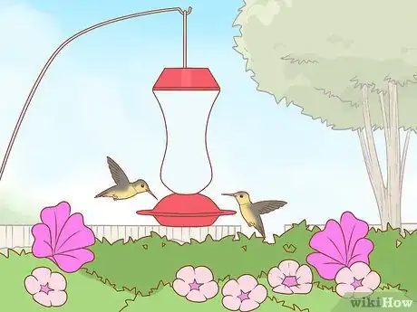 Image intitulée Hang a Hummingbird Feeder Step 3