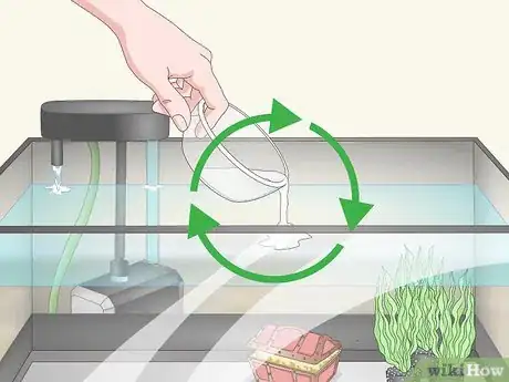 Image intitulée Raise the pH of a Fish Tank Step 8