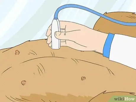 Image intitulée Detect Pregnancy in Your Female Dog Step 15