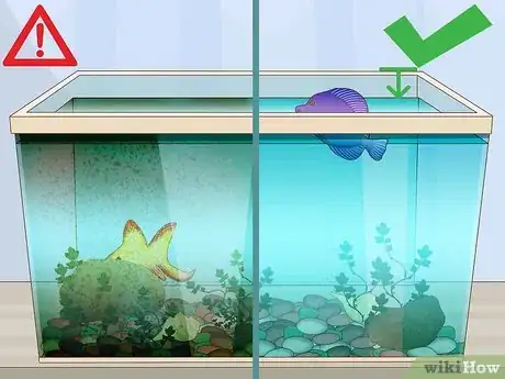 Image intitulée Clean a Fish Tank Step 9