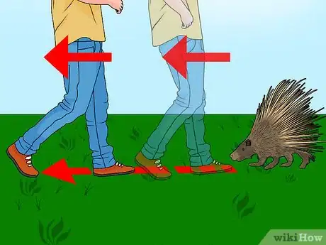 Image intitulée Remove Porcupine Quills Step 28