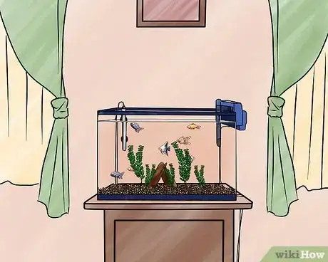Image intitulée Set up a Freshwater Aquarium Step 11