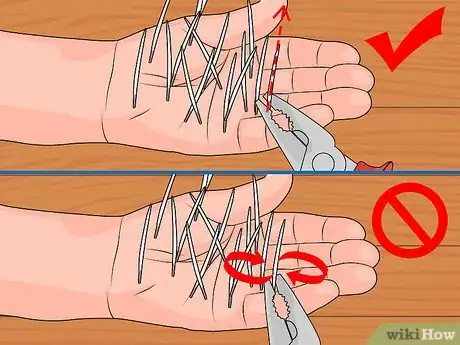 Image intitulée Remove Porcupine Quills Step 19