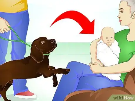 Image intitulée Stop Dog Marking Behaviors Step 20