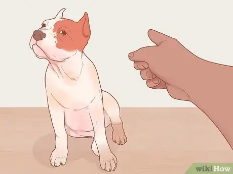 Image intitulée Stop Your Dog from Eating Grass Step 10