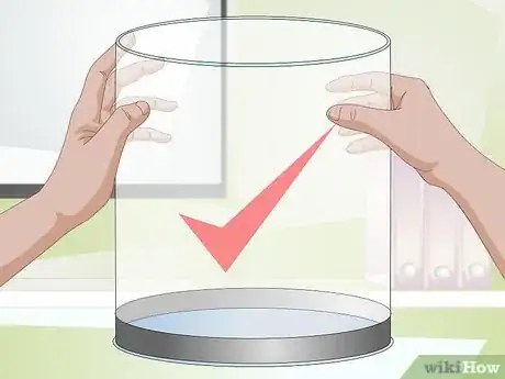 Image intitulée Start a Jellyfish Tank Step 1