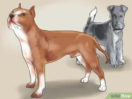 Image intitulée Train an Aggressive Dog Step 15