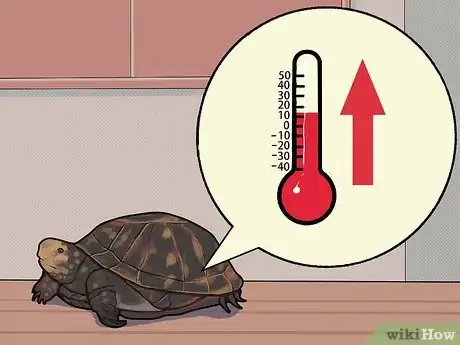 Image intitulée Care for a Hibernating Turtle Step 22