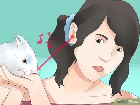 Image intitulée Understand Your Rabbit Step 2