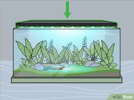 Image intitulée Grow Freshwater Aquarium Plants Step 6