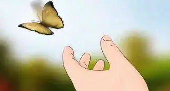 prendre soin d'une chenille jusqu'à ce qu'elle devienne un papillon