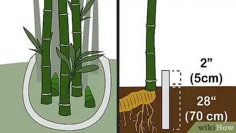 Image intitulée Kill Bamboo Step 10