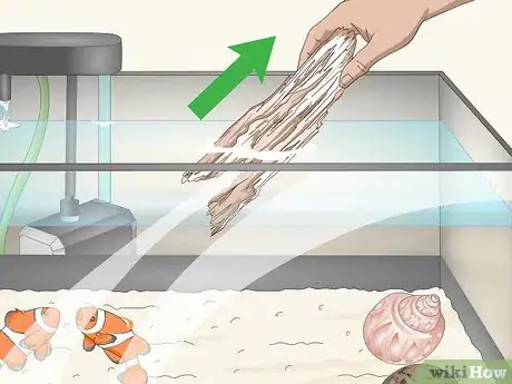 Image intitulée Raise the pH of a Fish Tank Step 11