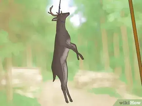 Image intitulée Dress a Deer Step 1