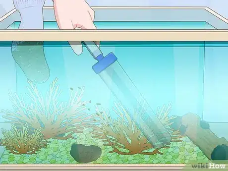 Image intitulée Clean a Fish Tank Step 15
