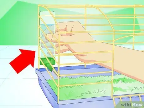 Image intitulée Make Your Guinea Pig Comfortable in Its Cage Step 7