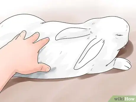Image intitulée Breed Rabbits Step 15