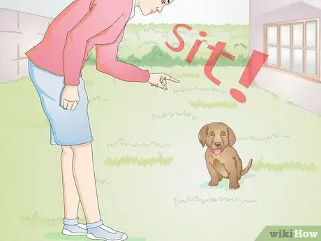 Image intitulée Calm a Puppy Step 7
