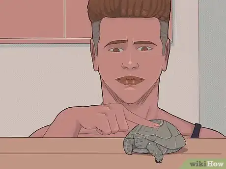 Image intitulée Care for a Hibernating Turtle Step 12