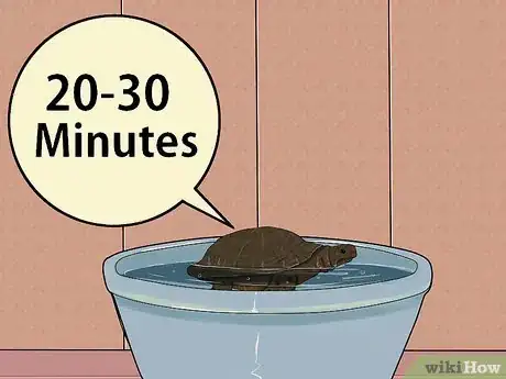 Image intitulée Care for a Hibernating Turtle Step 23