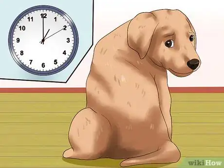Image intitulée Get Your Puppy to Stop Biting Step 20