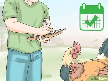 Image intitulée Take Care of Chickens Step 24