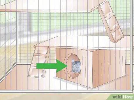 Image intitulée Care for Chinchillas Step 4