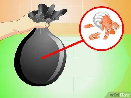 Image intitulée Know when Your Hermit Crab Is Dead Step 10