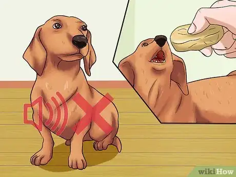 Image intitulée Train Dogs Not to Bark Step 12