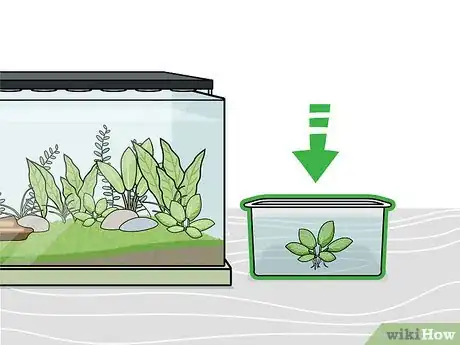 Image intitulée Grow Freshwater Aquarium Plants Step 7