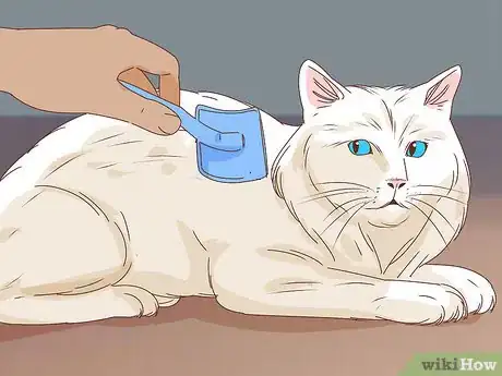 Image intitulée Bathe an Angry Cat With Minimal Damage Step 11