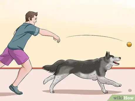 Image intitulée Teach Your Dog to Speak Step 3